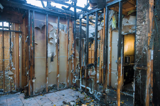Professional Fire Damage Removal technician working in Tatum, TX